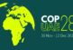 Expert Insight: COP28 - Accelerating Global Climate Action